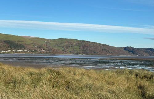 Little Curlew, Ynyslas, Borth - Foto 13