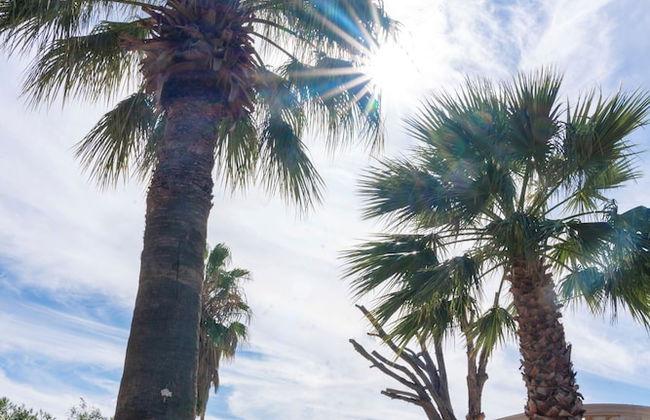 Villa Sar in Kampani Chania - Foto 16