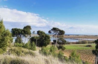 Vue imprenable sur mer- La perle de Saint Pierre La Mer - Foto 36