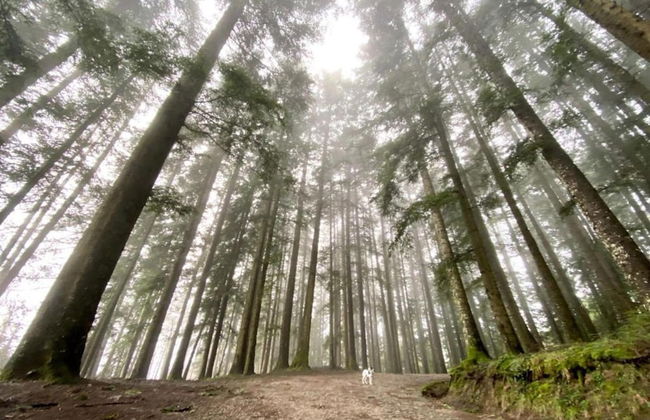 Belvilla by Oyo Beatrice - Photo 36