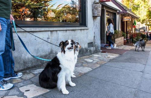 3988 Cannery Cottage home - Foto 64