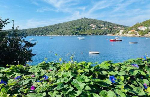 Villa Marija - Sea View Rooms - Photo 28