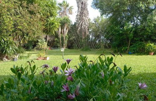 Sardinia Ovest 2 - Foto 41