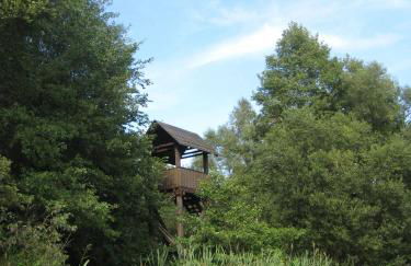 Storchenblick - Foto 31