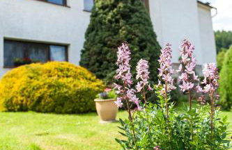 Agroturystyka Wzgórze Magnolii - Foto 3