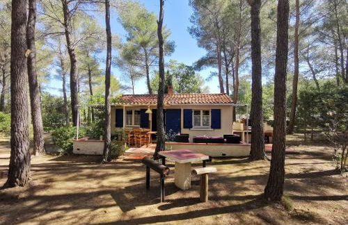 Maisonnette en pleine nature - Foto 4