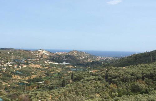 Old Oilmill near Dolcedo - Foto 7