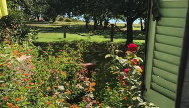 Residence Scopa Marina - Foto 5