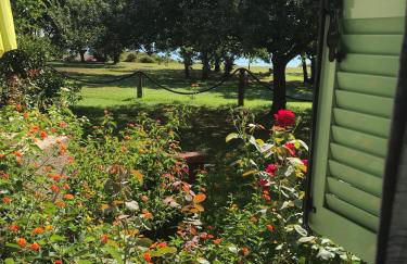 Residence Scopa Marina - Foto 5