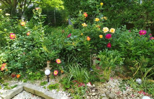 Apartment Hercules - Foto 30