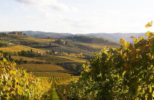 ROSSO DEL CHIANTI al CENTRO STORICO 1 - Foto 9