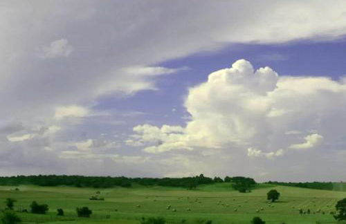 Pet-Friendly Accommodation on a Ranch in McDade, Texas - Foto 8