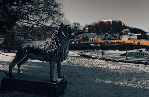 Stadtvilla Haug die exklusiven Ferienwohnungen im Harz - Foto 38