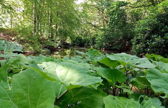 5 Star Holiday Home in Frederikshavn - Foto 21