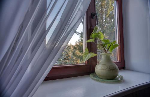 Dwór Hetman - Foto 44