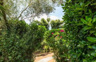 Résidence les Arbousiers - Foto 20