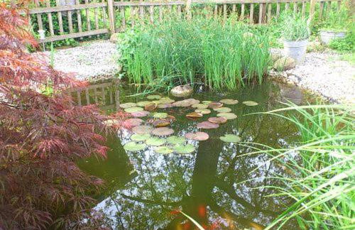 Gästehaus Schörgenhofer - Photo 5