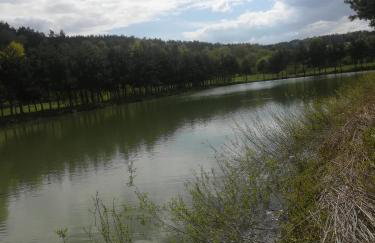 Zacisze Nad Stawami - Foto 34