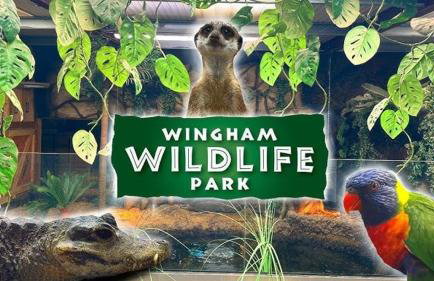 Little hideaway in the countryside Ash - Foto 13