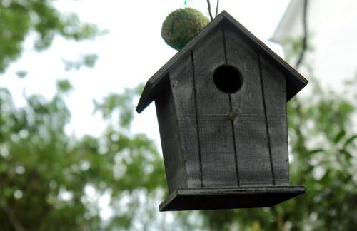 Maison proche centre Carantec - Foto 47