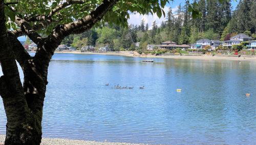 The Tides Retreat - Foto 2