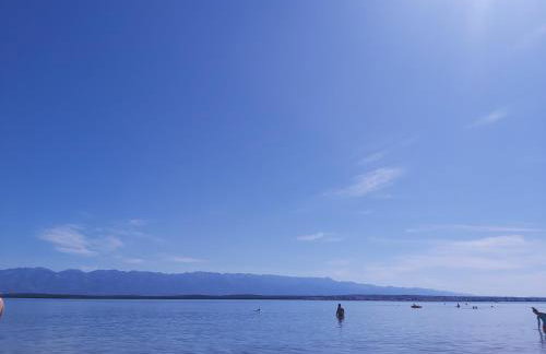 Iris Sabunike - Photo 10