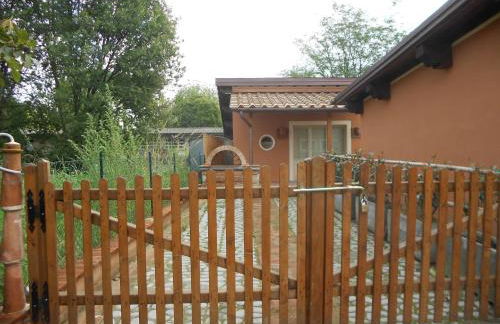 Ulivo Della Querce - Foto 22