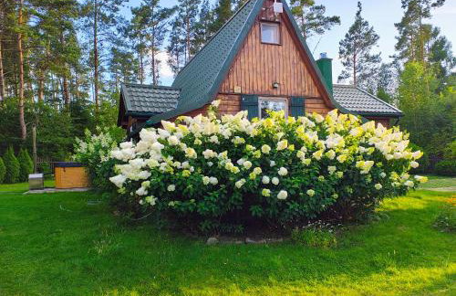 Chatka Baby Jagi - Domek z balią i kominkiem w lesie pośród jezior - Foto 4