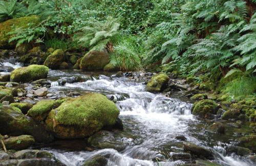 Charming cottage in Snowdonia - Foto 63