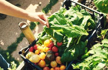 Villa Lena - Foto 45