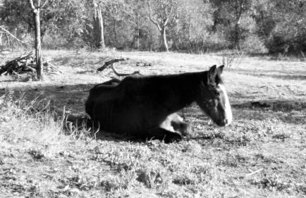 Monolocale di Meo - Foto 25