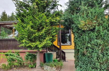 Ferienhaus Am Vitzerod - Foto 7