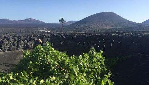 Casa Andrés - Foto 5, Garden