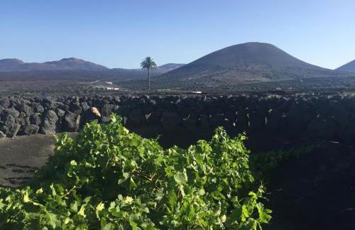 Casa Andrés - Photo 5