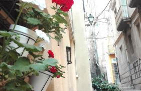 Center Plaza Figueres - Foto 65