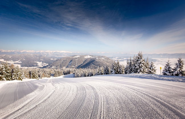 für 11 Personen mit Sauna oder IR-Sauna - Foto 21