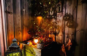 Cocon entre presqu'île du Cap Ferret et plages océanes - terrasse - 1 vélo gratuit - Foto 31