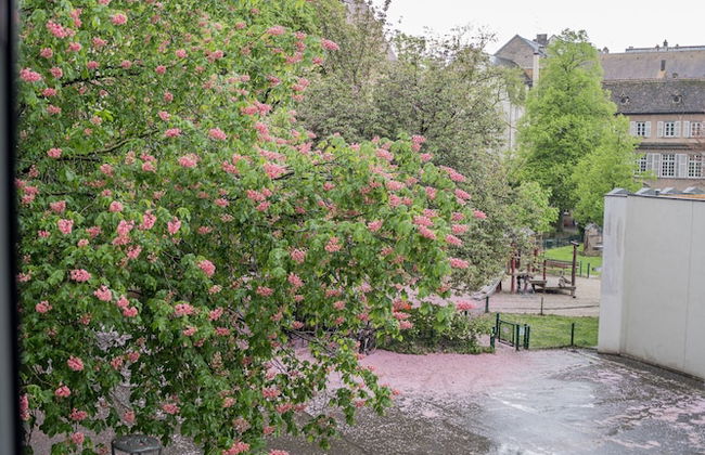 Sarrouge S.a.r.l / Le Gabriel - Foto 78