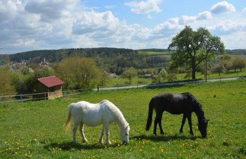 Ferienhof Pfeiffer - Foto 17
