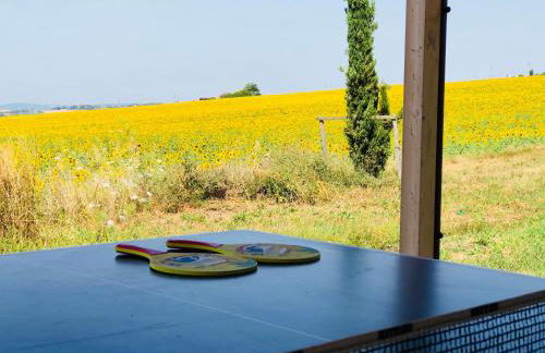 Fontegirasole - a Fontanaro Property - Foto 14