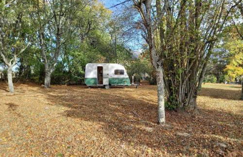 La vie calme - Foto 72