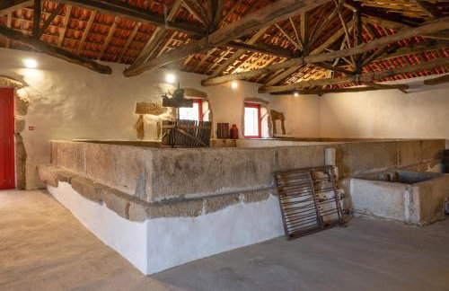 Casa Dr Ramiro Salgado - Douro Superior, Torre de Moncorvo - Foto 34