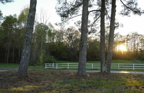 In the Woods by a Pond! Sugar Ranch Guest House! - Foto 15