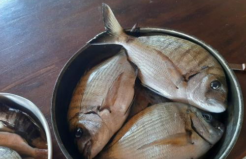 Andros Eco Home - Foto 51