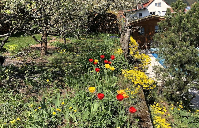 Ferienwohnungen Ries - Foto 41