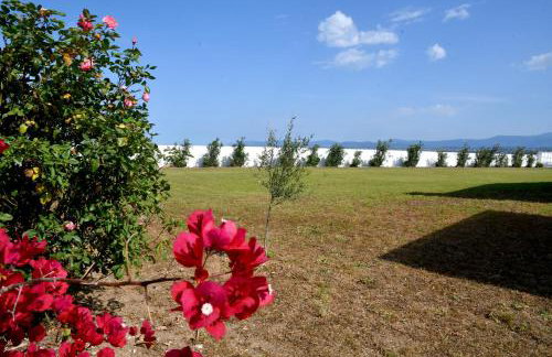 Doctor s estate Χαλκίδα - Photo 65