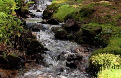 Ferienhaus in Wiesing nahe Skipisten - Foto 31