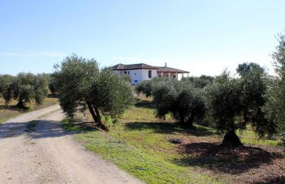 Casa Rural la Serrana - Foto 6