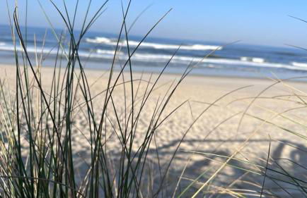 Alojamento Gândara - Foto 7