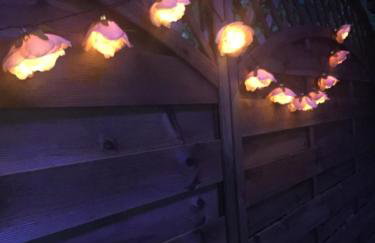 Noclegi pod kasztanem - Foto 36